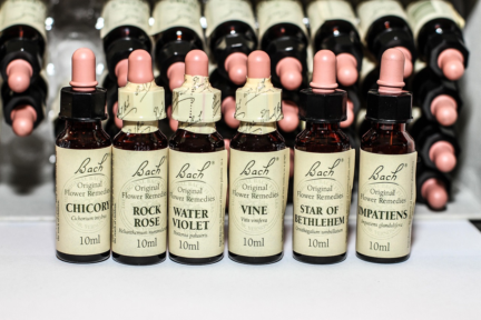FLEURS DE BACH SOINS NATURELS NATUROPATHIE SOINS NATURELS BANDOL VAR